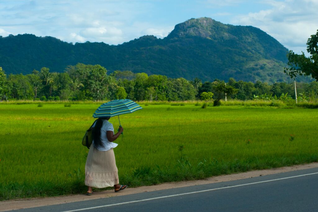 Why Sri Lanka Tourism Is Trending in 2026 – Budget Luxury, Beaches & Viral Travel Reels A woman walks along a rural road with an umbrella, surrounded by lush fields in Ella, Sri Lanka.